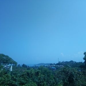 Meet your Posher, Neha